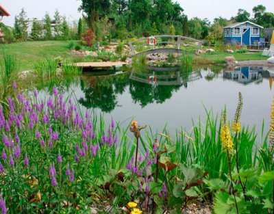www.waterscapesbygenesis.com www.waterscapesbygenesis.com