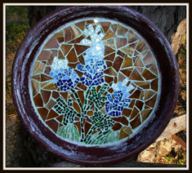 Bluebonnet