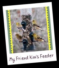 Kim's Feeder