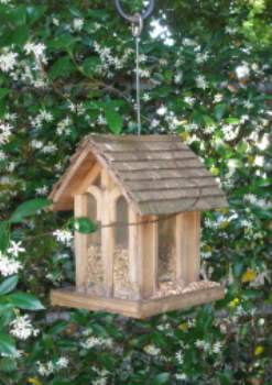 Front Yard Birdfeeder